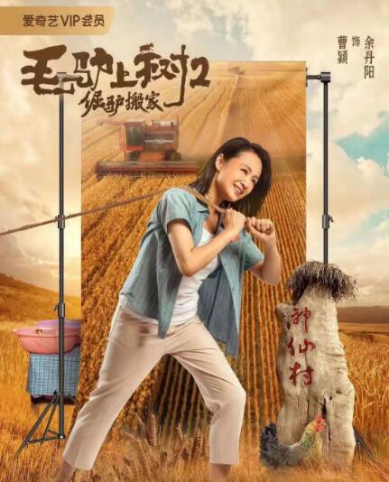 高h视频在线观看